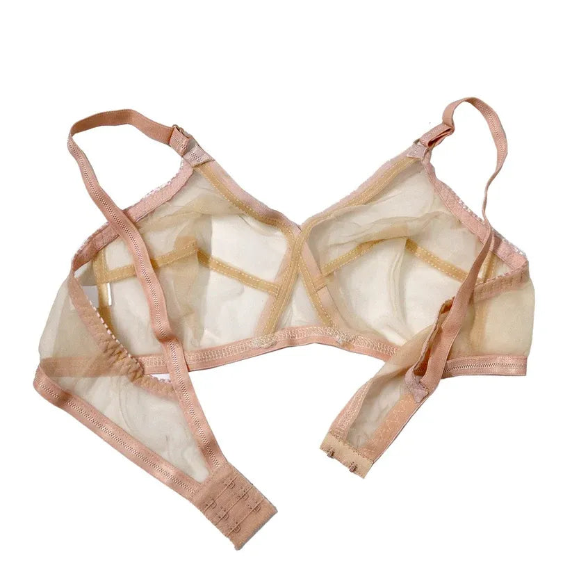 Padded & Non-Wired Full Net Transparent Bras